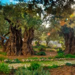 Portada SITIO Getsemani.jpg – Iglesia Universal